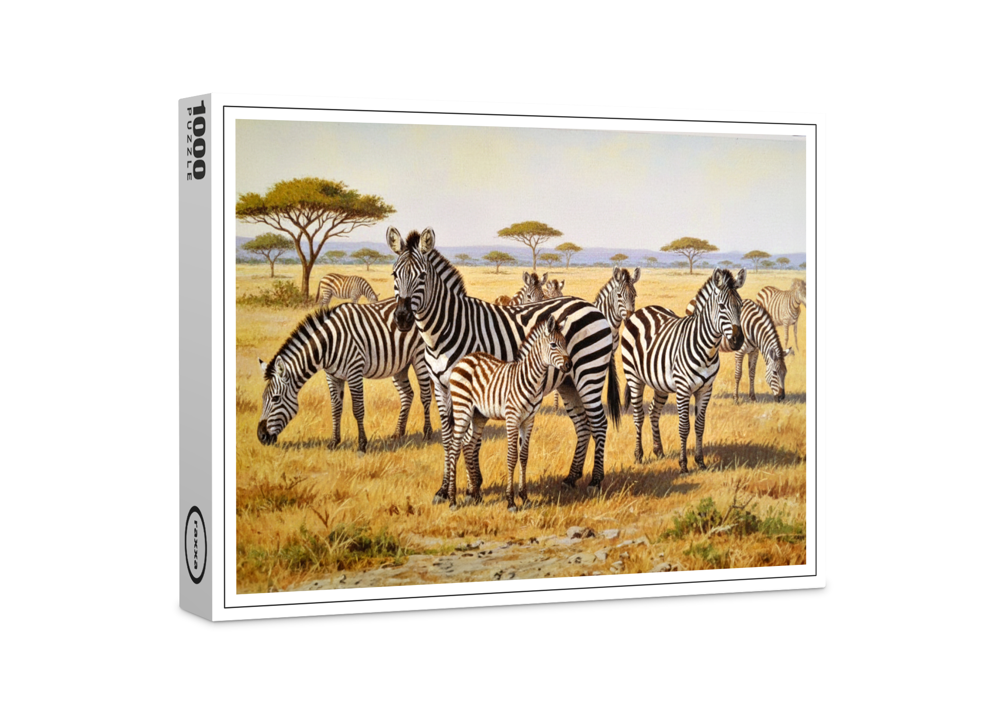 raxxa Premium-Puzzle: Zebraherde mit Jungtier in Afrika