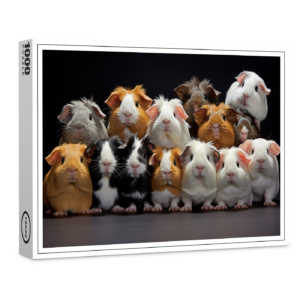 raxxa Premium-Puzzle: Gruppenbild mit fröhlichen Meerschweinchen