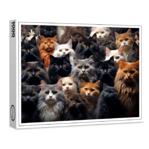 raxxa Premium-Puzzle: Gruppenbild mit neugierigen Katzen