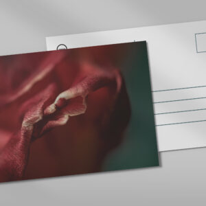 raxxa Postkarte: Küss mich!