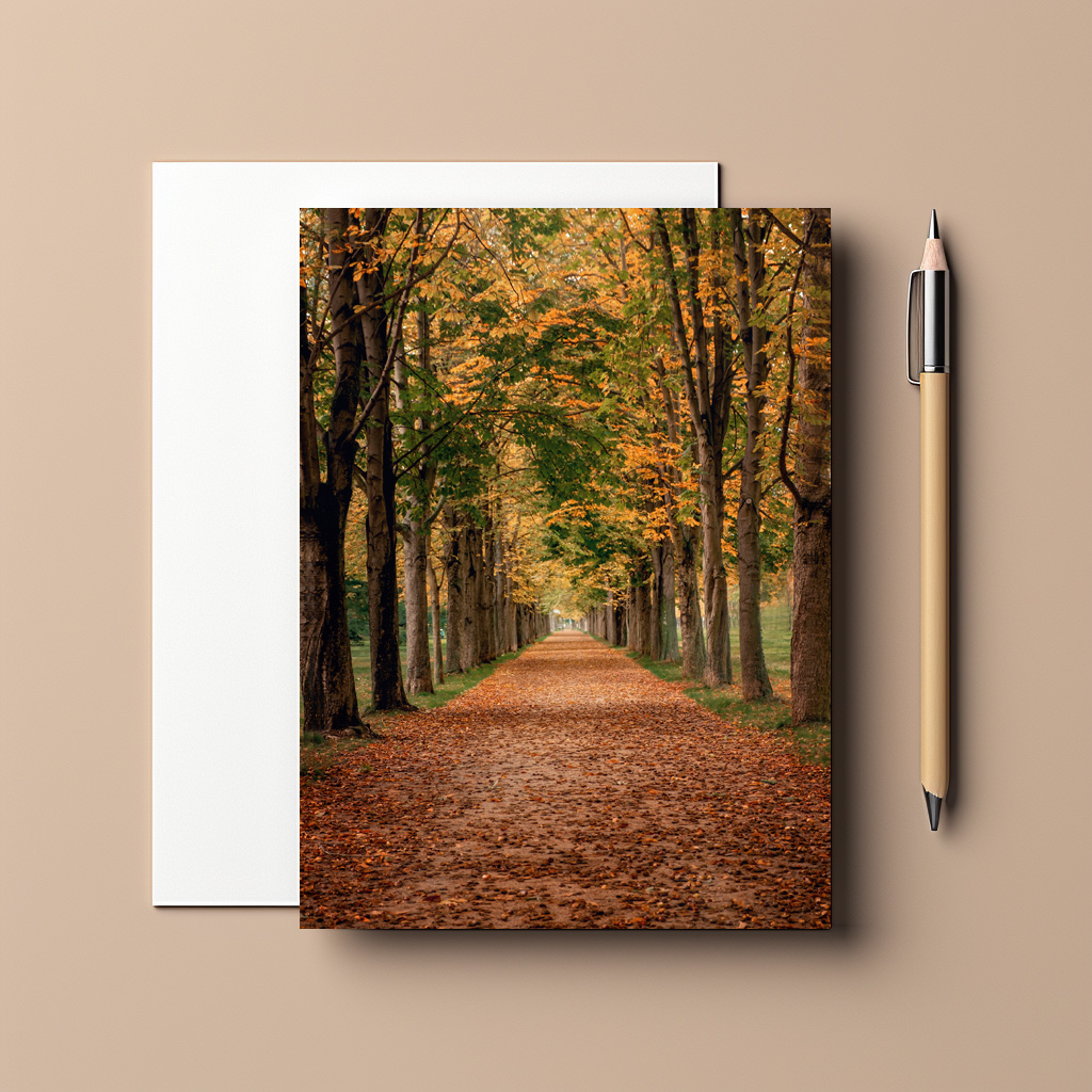 raxxa Postkarte: Herbstallee