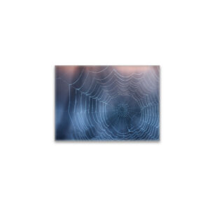 raxxa Glas-Magnet: Spinnennetz