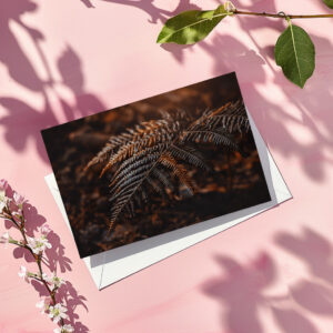 raxxa Postkarte: Farn