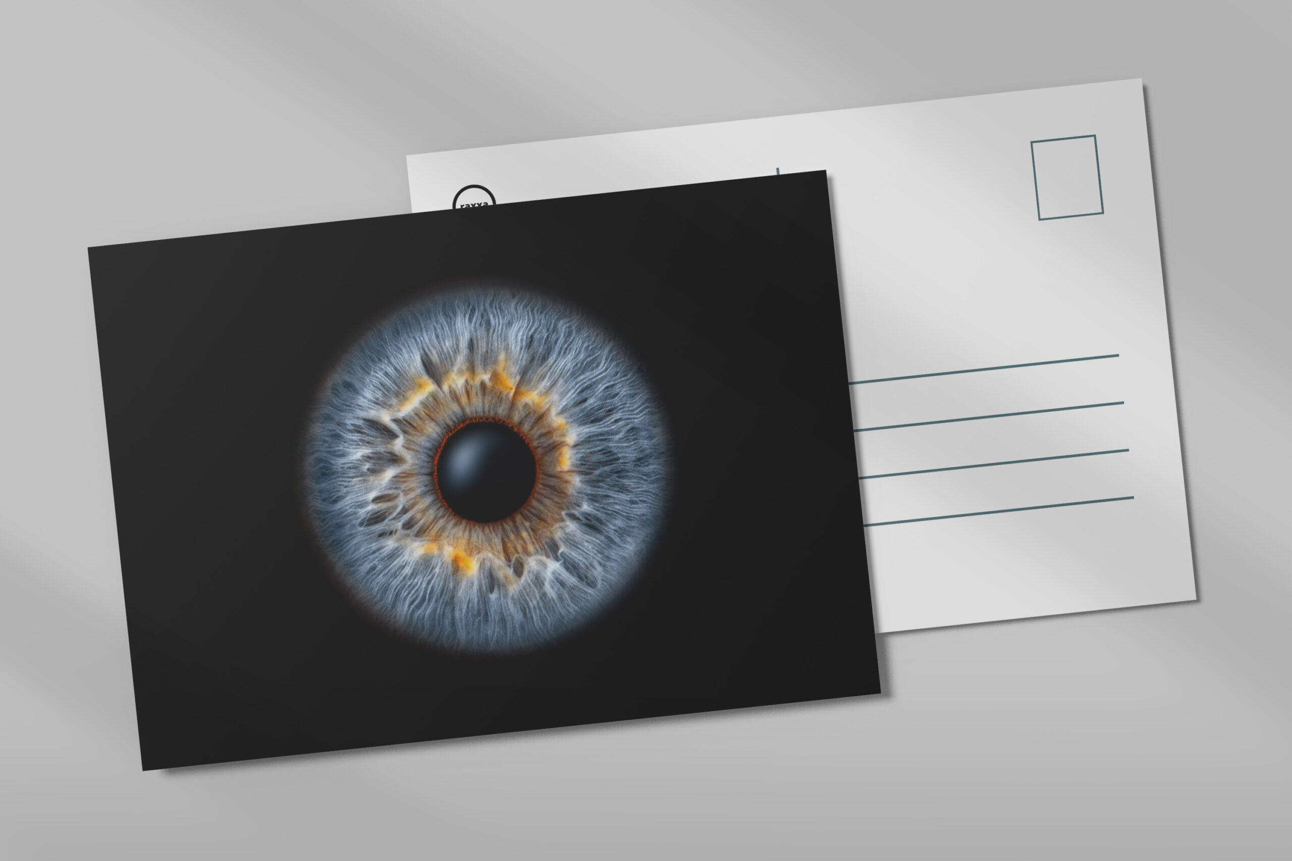 raxxa Postkarte: Iris