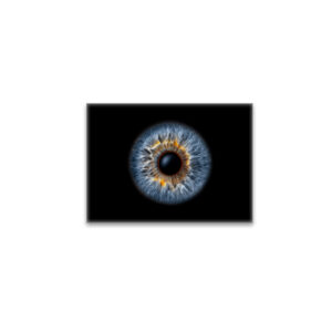raxxa Glas-Magnet: Iris