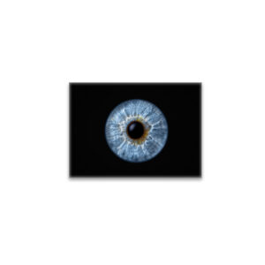 raxxa Glas-Magnet: Iris I