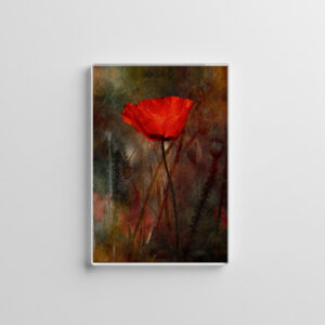 raxxa Glas-Magnet: Mohnblume