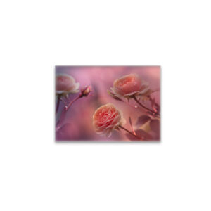 raxxa Glas-Magnet: Rosenland
