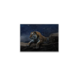 raxxa Glas-Magnet: Snow Tiger