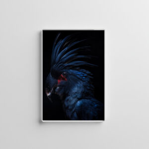 raxxa Glas-Magnet: Blue Parot