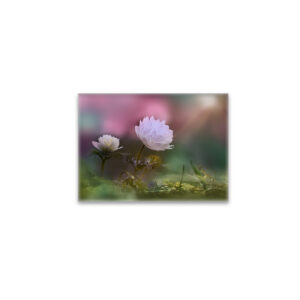 raxxa Glas-Magnet: White flower