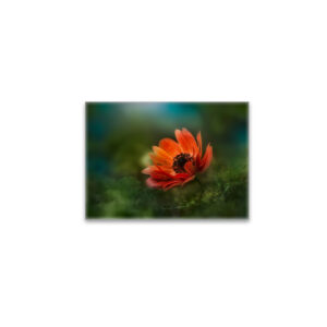 raxxa Glas-Magnet: Fire flower