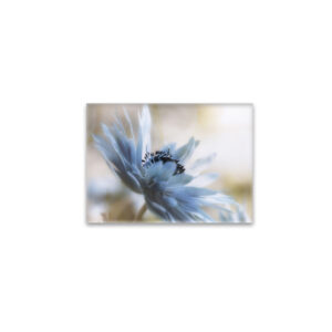 raxxa Glas-Magnet: Black Heart