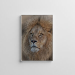 raxxa Glas-Magnet: Sir King