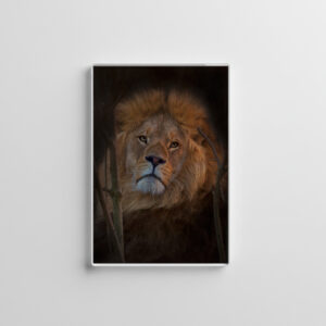raxxa Glas-Magnet: The King