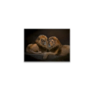 raxxa Glas-Magnet: Brothers