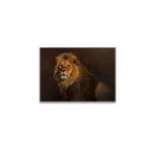 raxxa Glas-Magnet: Sir King II