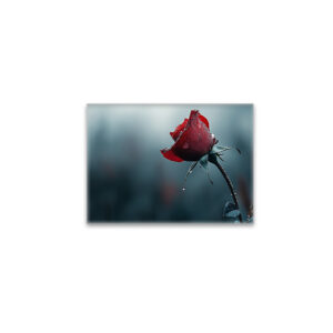 raxxa Glas-Magnet: Rose mit Wassertropfen