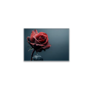 raxxa Glas-Magnet: Rose mit Wassertropfen auf den Blütenblättern