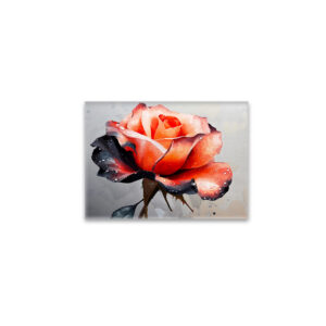 raxxa Glas-Magnet: Schönheit der Rose