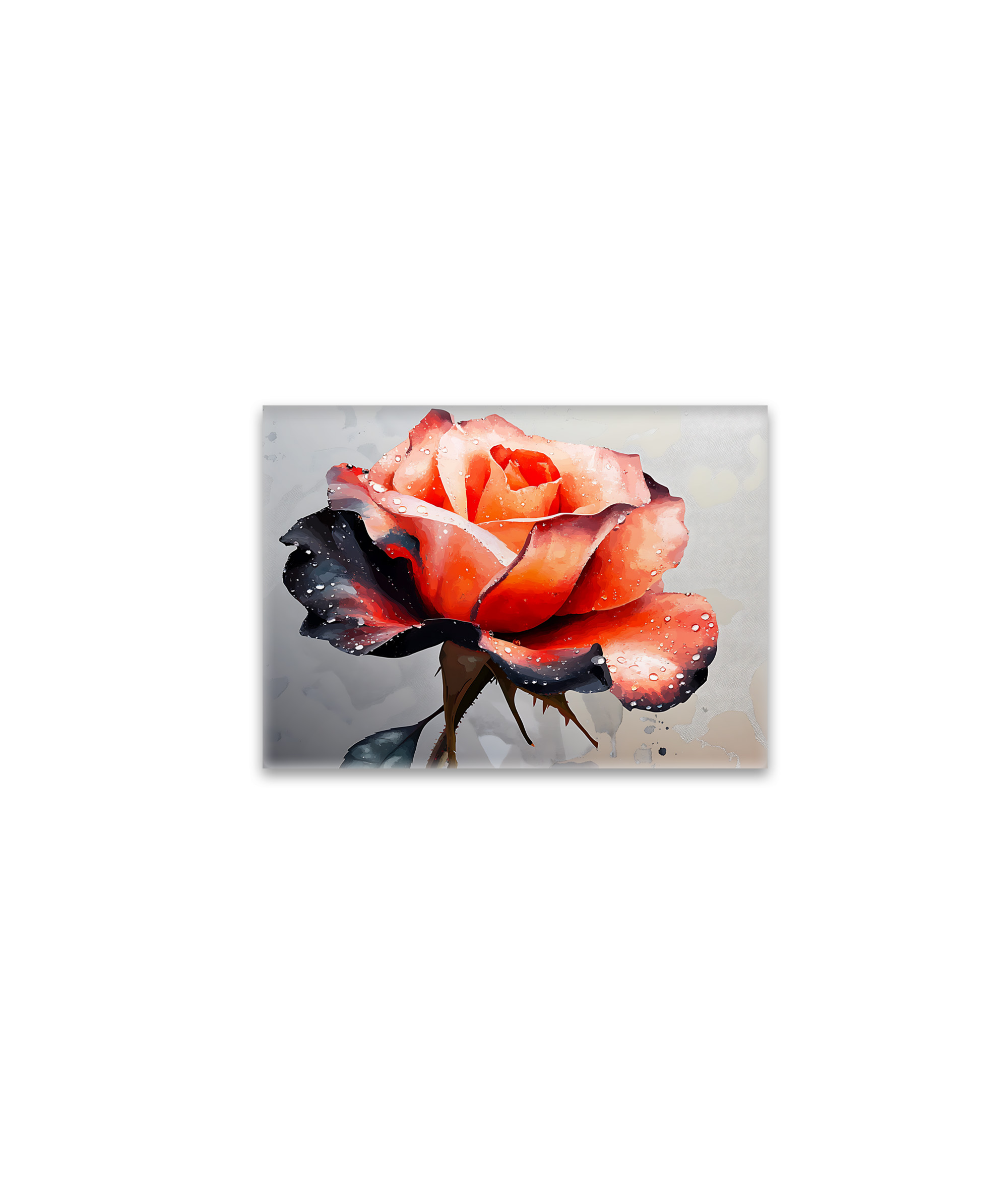 raxxa Glas-Magnet: Schönheit der Rose
