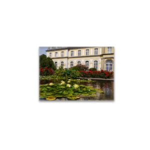 raxxa Glas-Magnet: Seerosen vor dem Poppelsdorfer Schloss in Bonn
