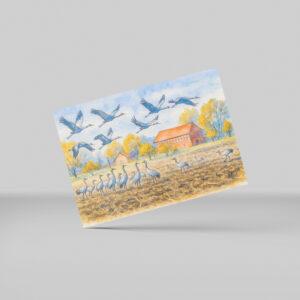 raxxa Postkarte: Crane in field rhinow aquarell havelland