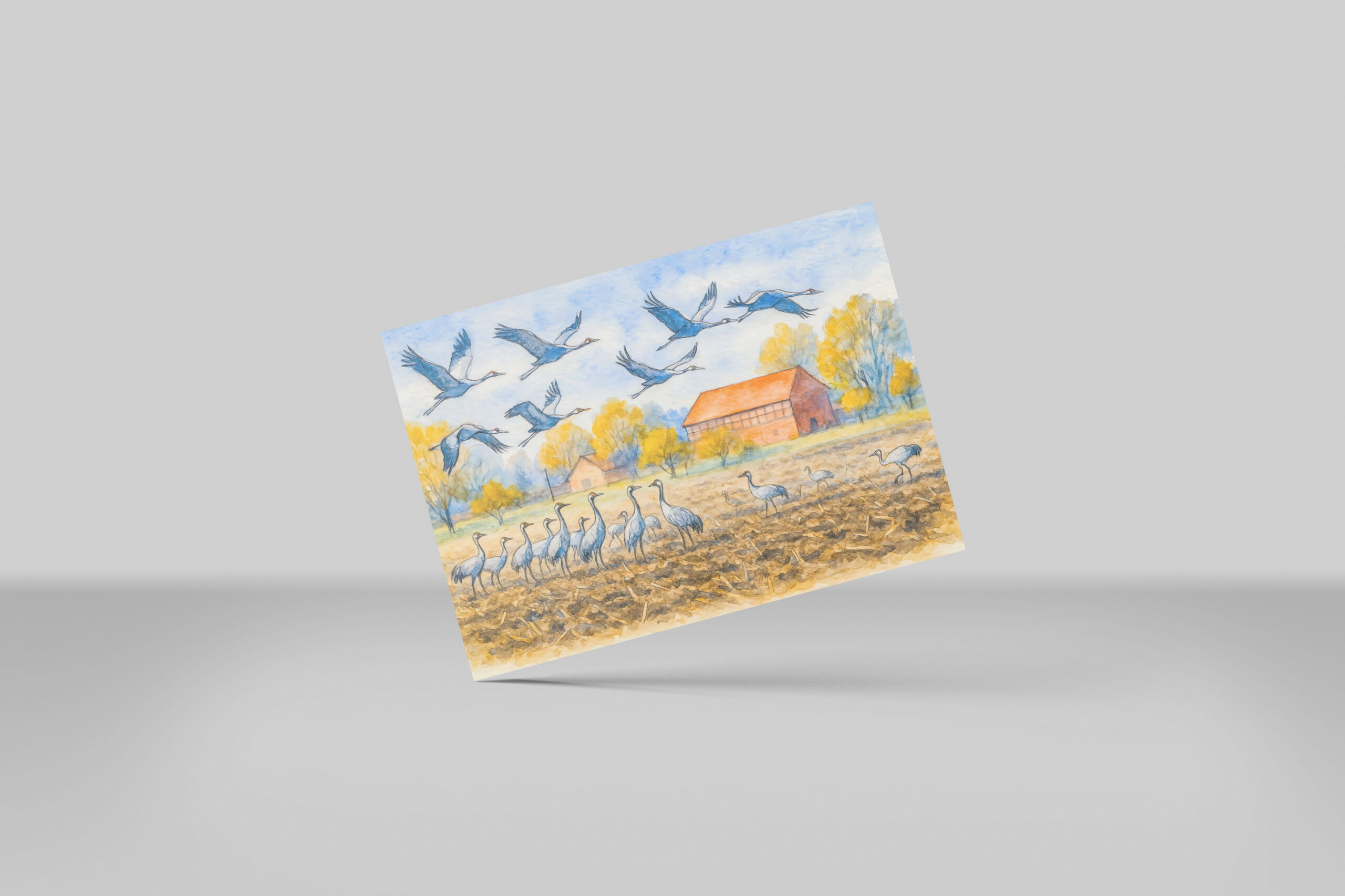 raxxa Postkarte: Crane in field rhinow aquarell havelland