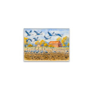 raxxa Glas-Magnet: Crane in field rhinow aquarell havelland