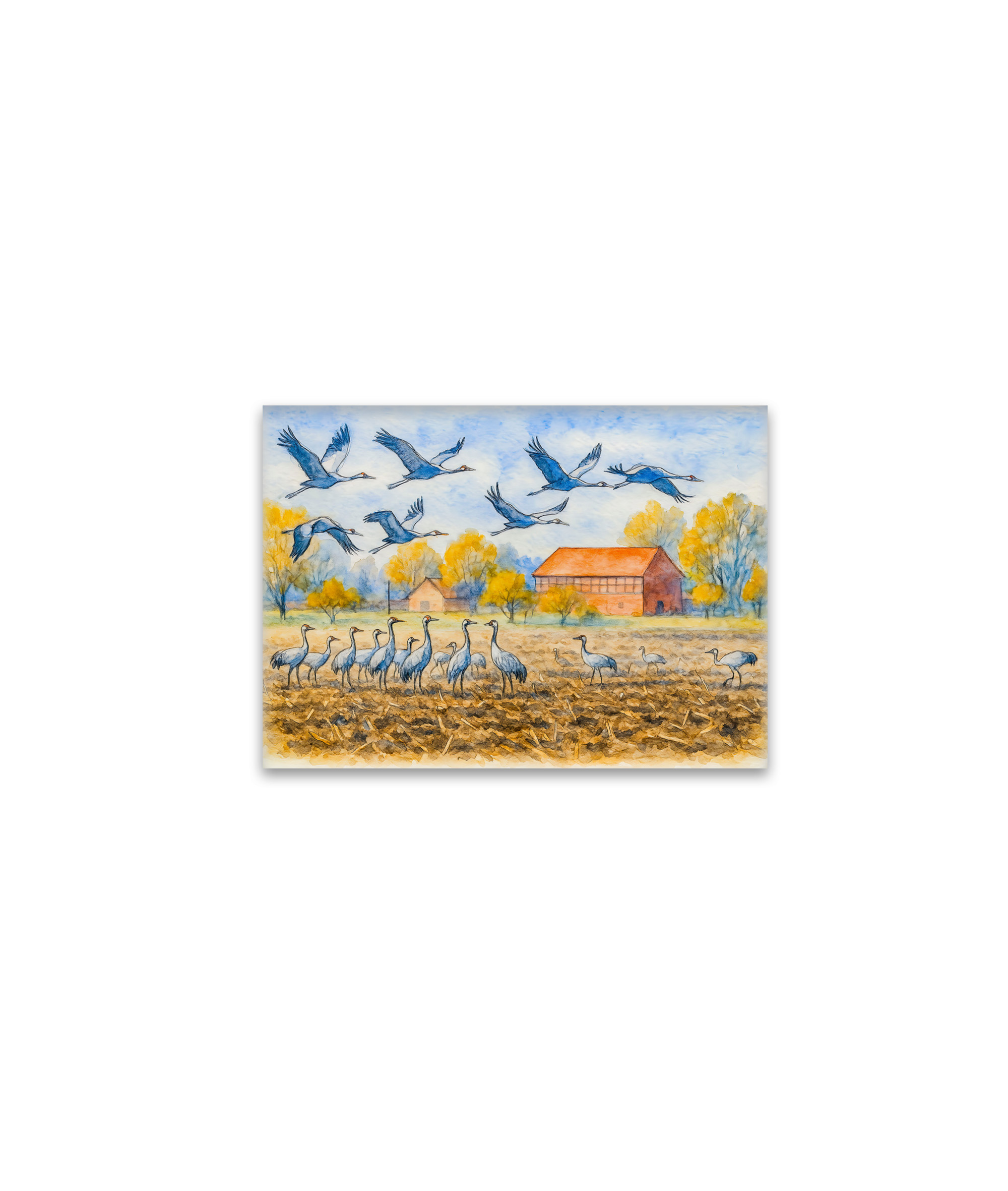 raxxa Glas-Magnet: Crane in field rhinow aquarell havelland