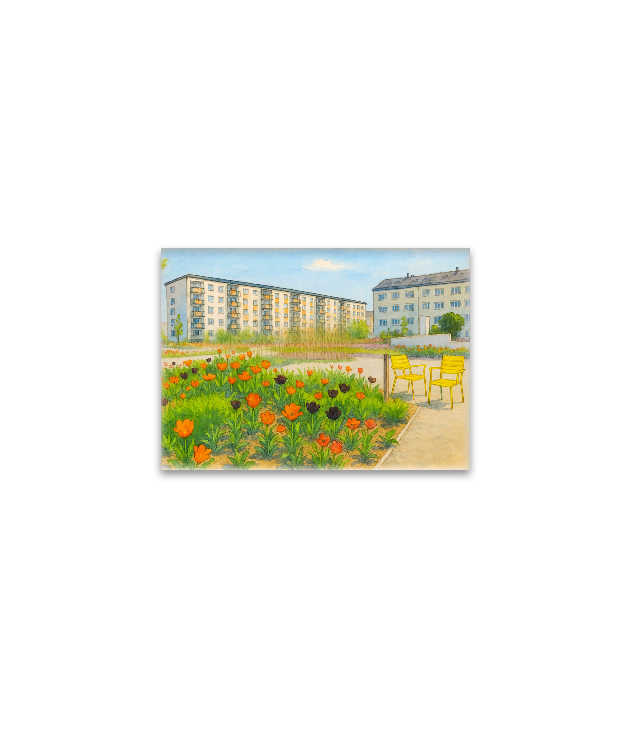raxxa Glas-Magnet: Premnitz tulips season aquarell havelland
