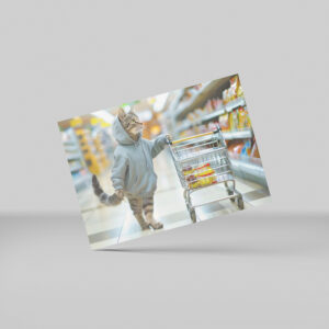 raxxa Postkarte: Cat with shopping basket in supermarket aisle