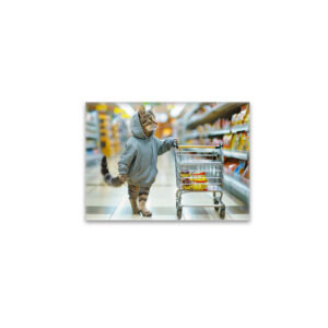 raxxa Glas-Magnet: Cat with shopping basket in supermarket aisle