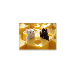 raxxa Glas-Magnet: Oh, alles unser Käse - schwarze und weiße Maus im Käseland