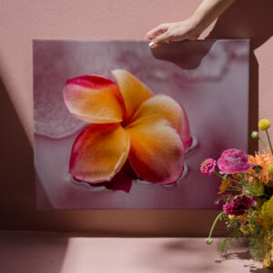 raxxa Canva: exotisch