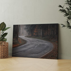 raxxa Canva: Der Weg