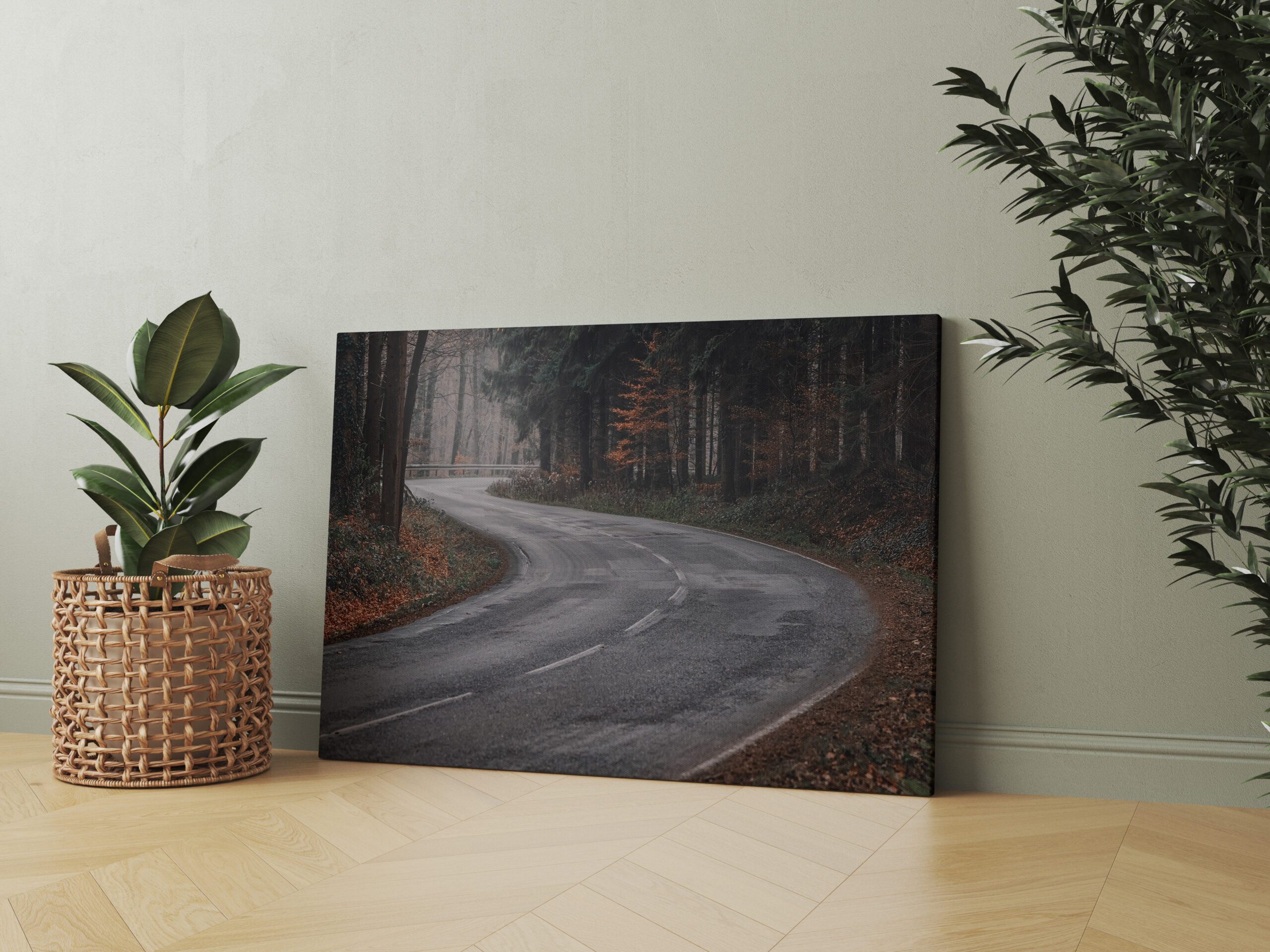raxxa Canva: Der Weg