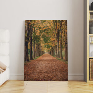 raxxa Canva: Herbstallee