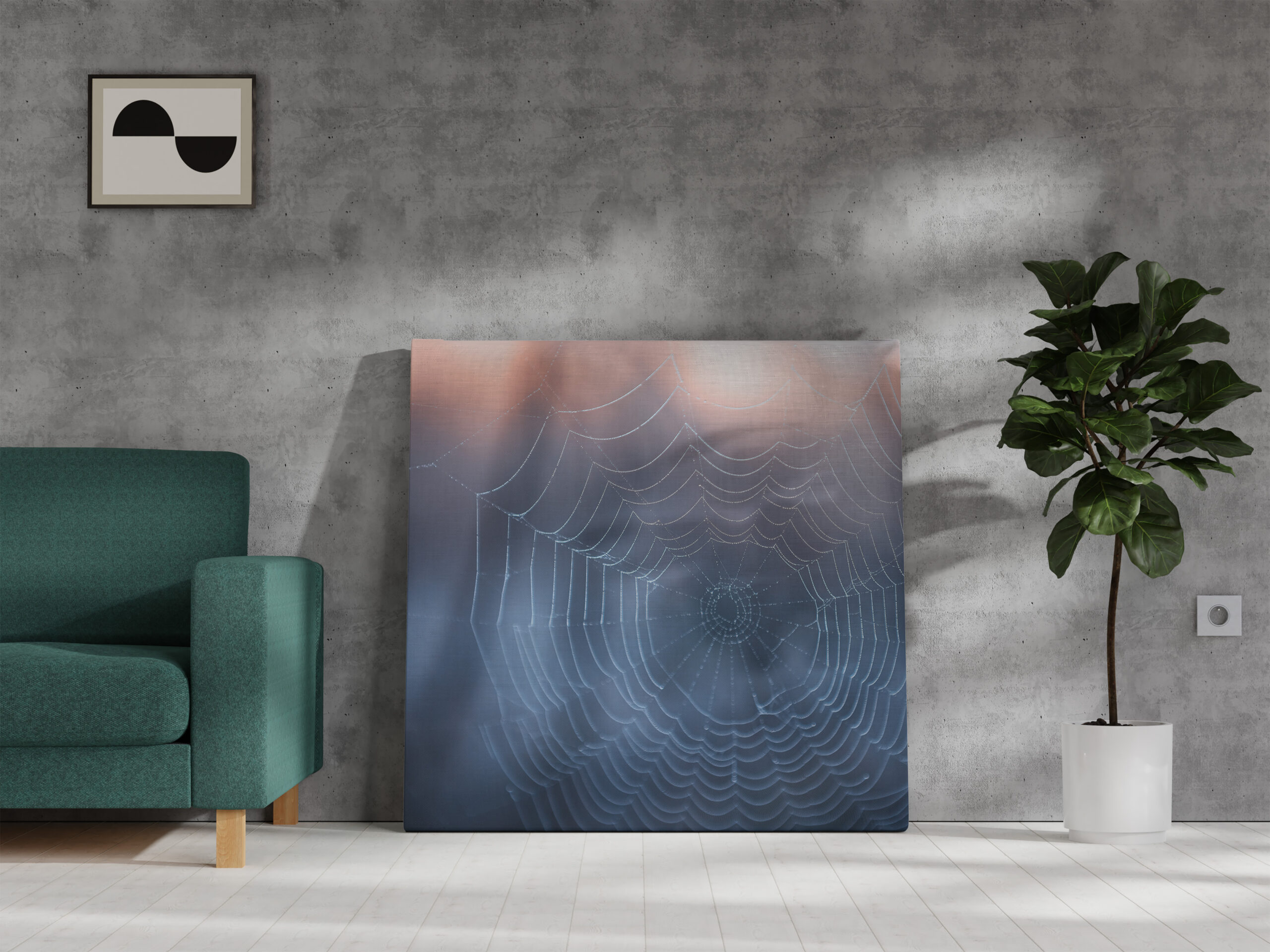 raxxa Canva: Spinnennetz - Imagen 3