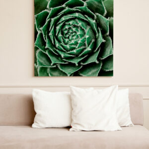 raxxa Canva: Succulent grün