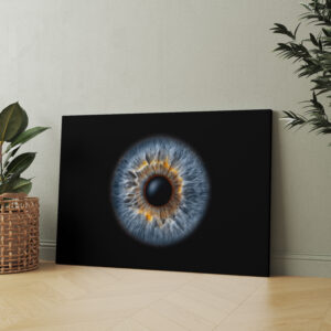 raxxa Canva: Iris