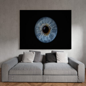 raxxa Canva: Iris I