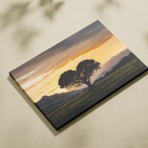 raxxa Canva: Liebes Baum
