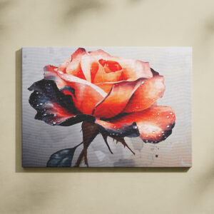 raxxa Canva: Schönheit der Rose