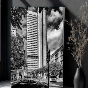 raxxa Canva: Skyscraper