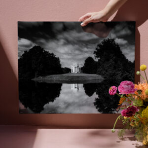 raxxa Canva: Die Schwaneninsel