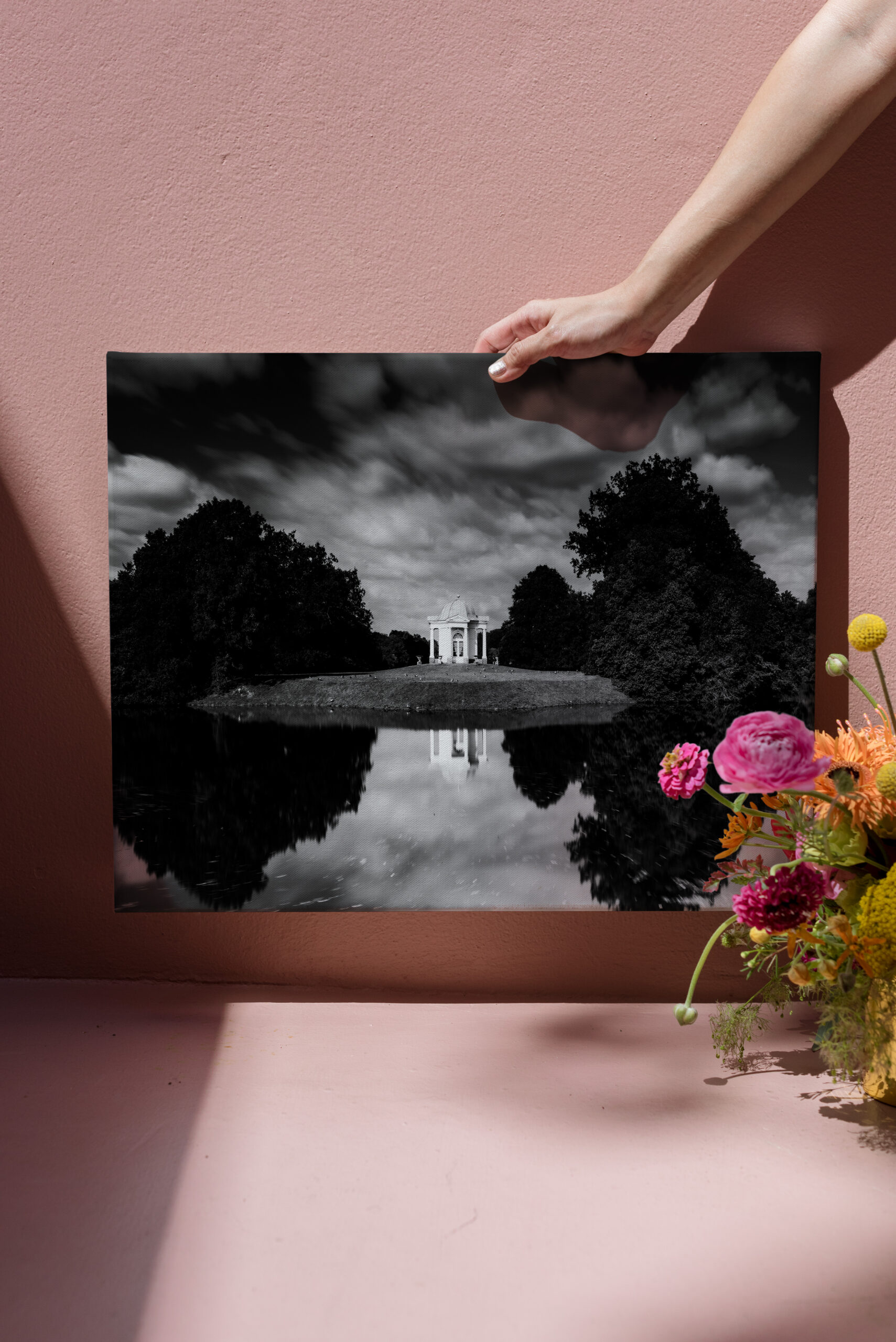 raxxa Canva: Die Schwaneninsel