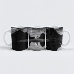 raxxa Premium-Tasse: Die Schwaneninsel