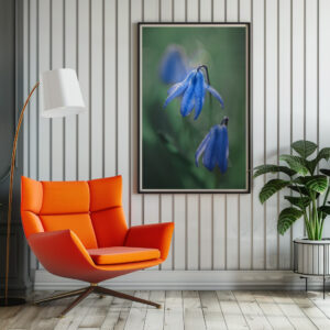 Poster: blaue Glockenblume