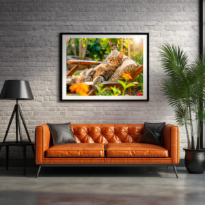 Poster: Cat sleeping in garden chair among flowers